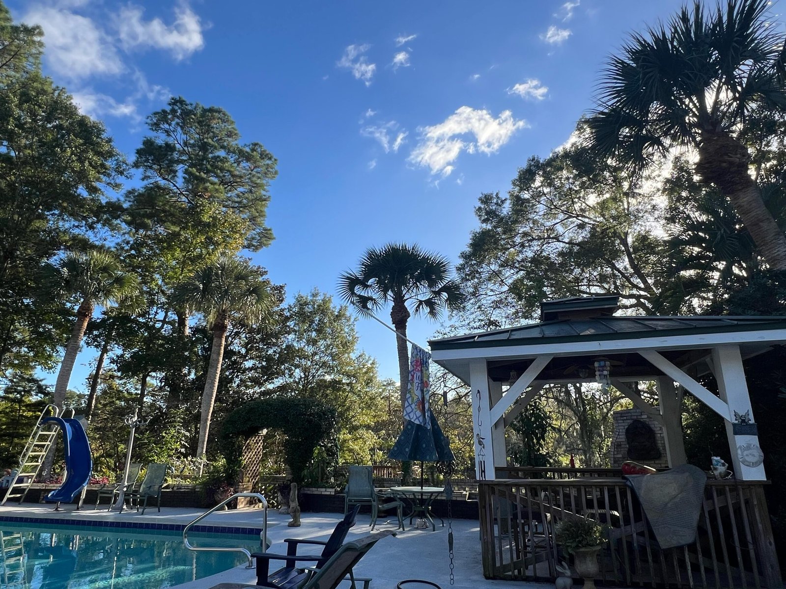 tree services in South Carolina