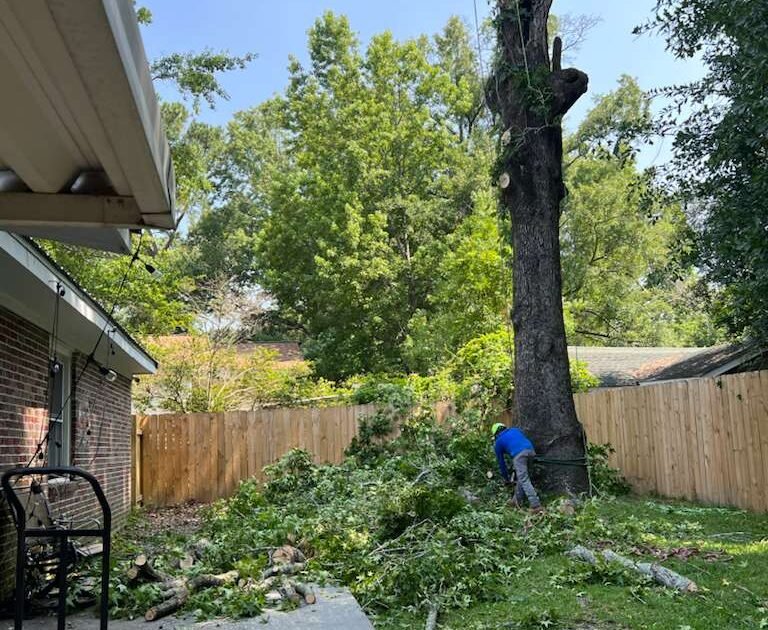Emergency Tree Services SC for Fast, Affordable, and Professional Cleanup