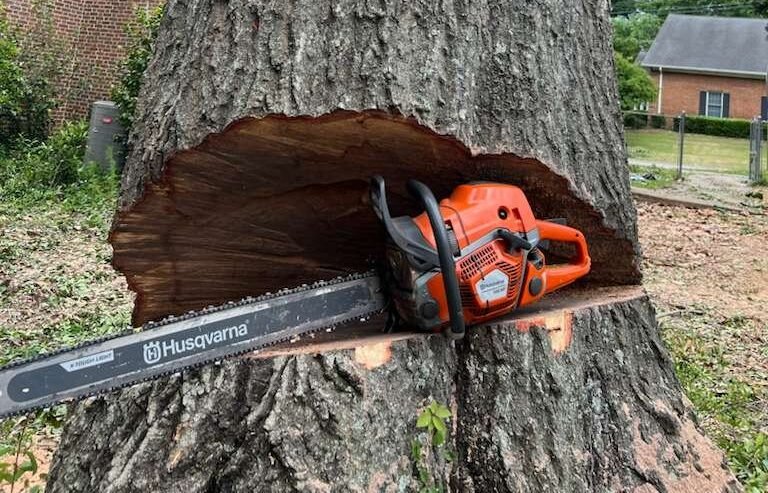 Professional Chainsaws